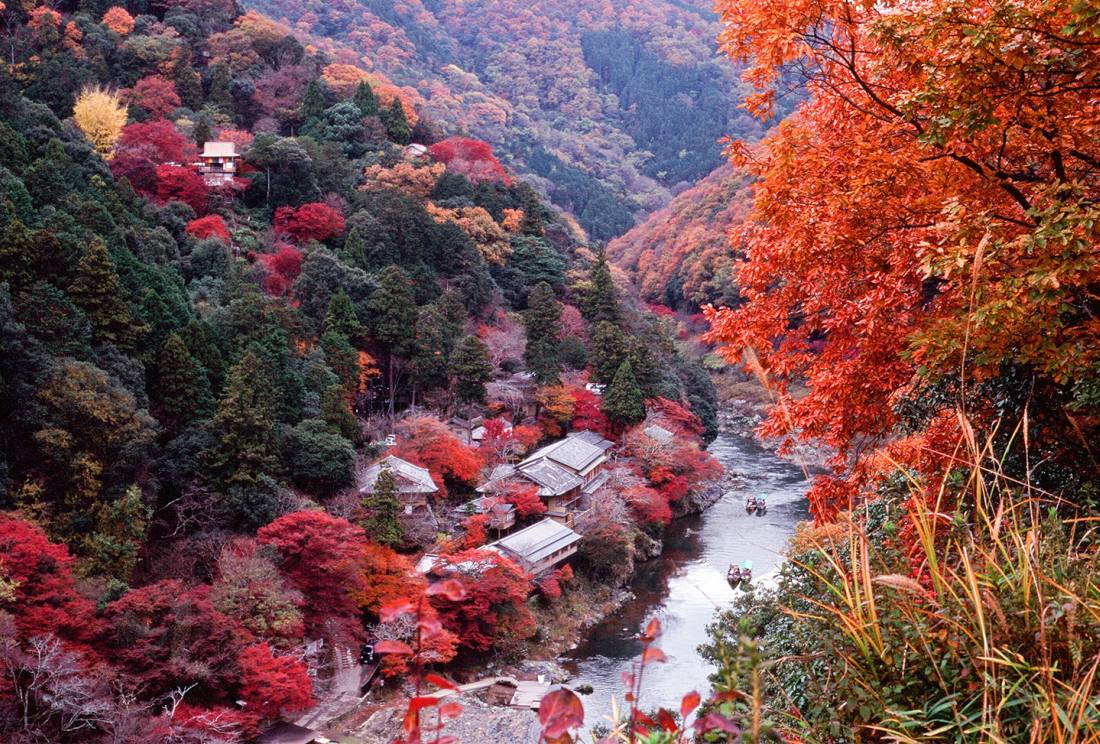 京都