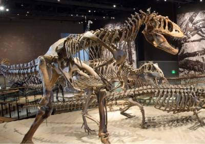 美国 | 犹他州自然历史博物馆（Natural History Museum of Utah）