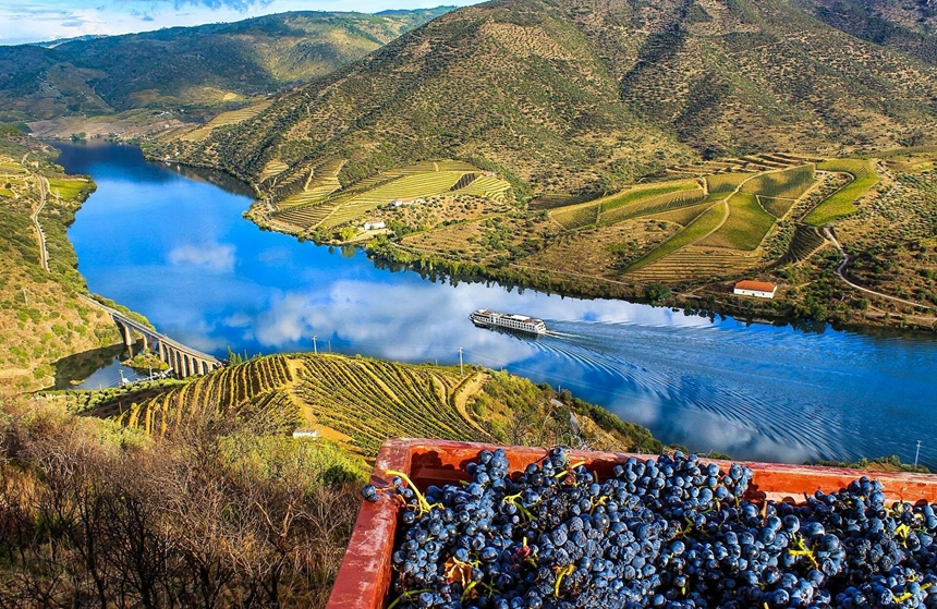 Portugal_Wine_Regions_Madeira_860