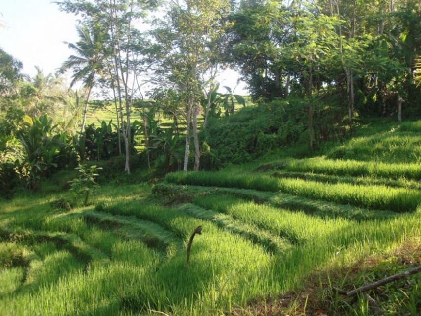 5.mengesta_860