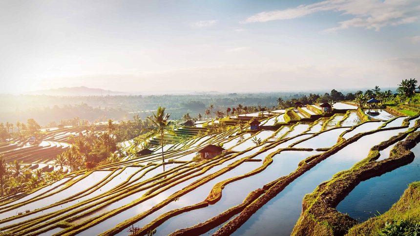 1.Jatiluwih-Rice-Terrace_860