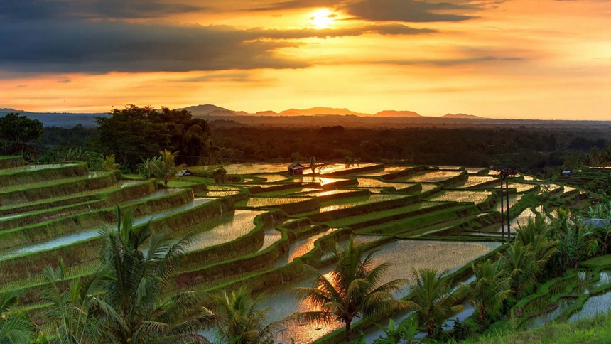 1.jatiluwih-rice-terraces-on-bali-during-sunrise-indonesia_860