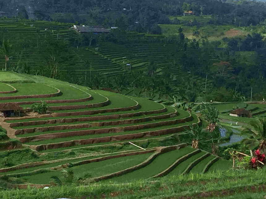 2.Belimbing Rice Terraces_860