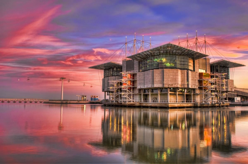 Lisbon Oceanarium_860