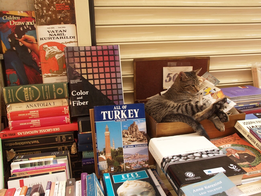 G-bookshop