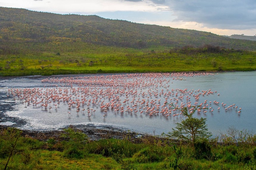Arusha_National_Park_Momella_Lake_860