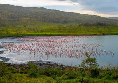 坦桑尼亚 | 探访坦桑尼亚只有1个理由