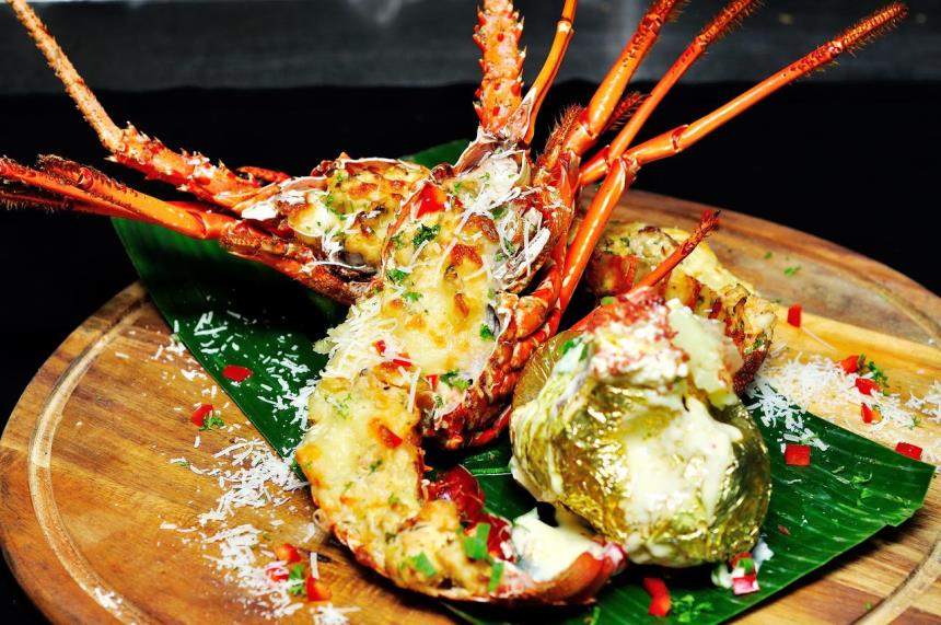 5600a1ed574b2003c251aaabfcbd2503