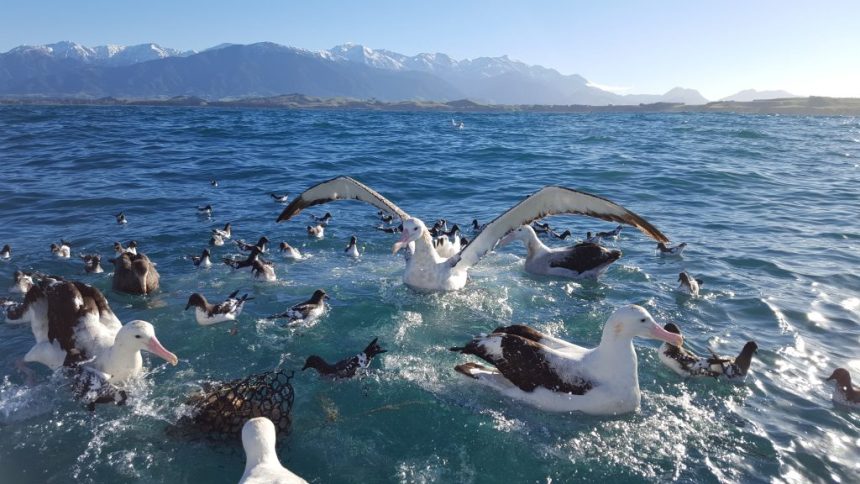 65d3fea87056bc1a519ed1705b692697