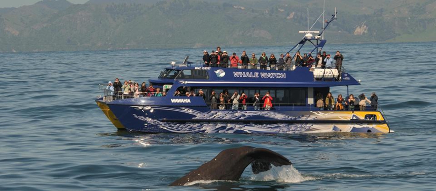 f9fcf851f1d880092f28c015d18d72d0