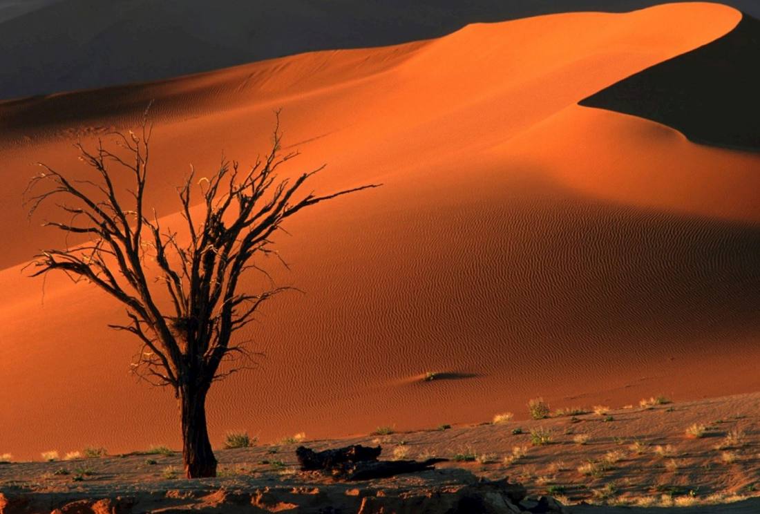 苏斯丝黎红沙漠